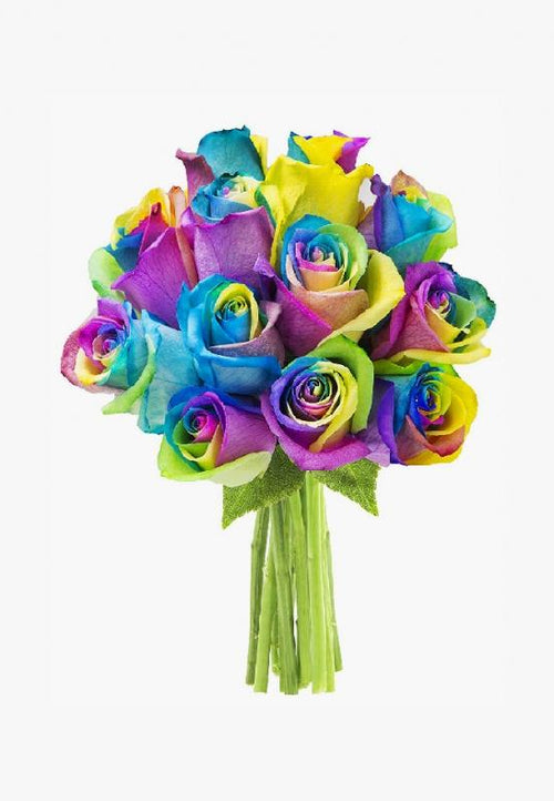 Color the Rainbow Roses