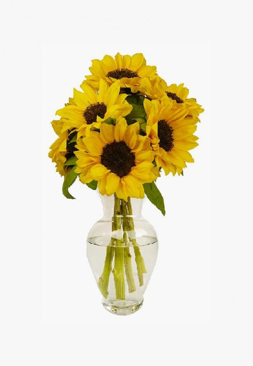 Bouquets Yellow Sunflowers